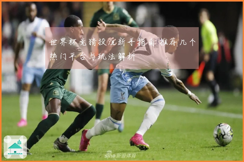世界杯竞猜投注新手指南 推荐几个热门平台与玩法解析