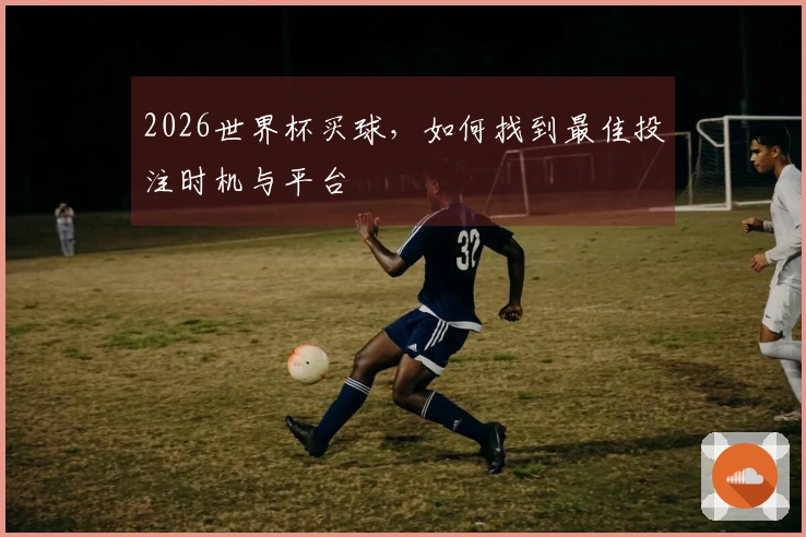 2026世界杯买球，如何找到最佳投注时机与平台
