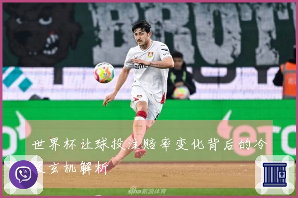 世界杯让球投注赔率变化背后的冷暖玄机解析