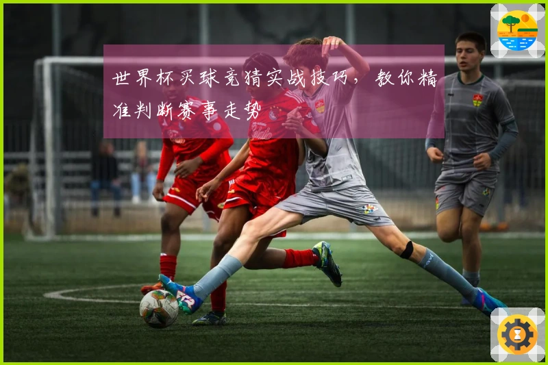 世界杯买球竞猜实战技巧，教你精准判断赛事走势