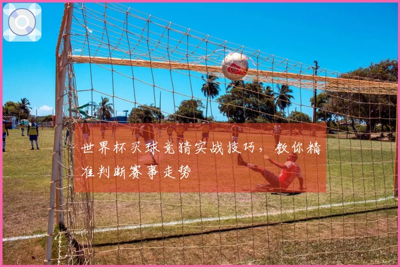 世界杯买球竞猜实战技巧，教你精准判断赛事走势