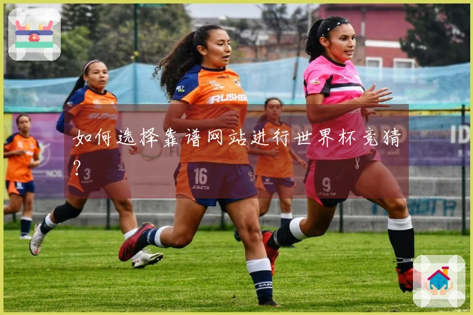 如何选择靠谱网站进行世界杯竞猜？