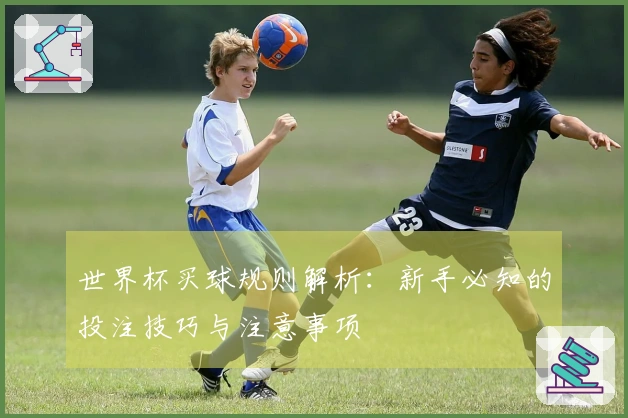 世界杯买球规则解析：新手必知的投注技巧与注意事项
