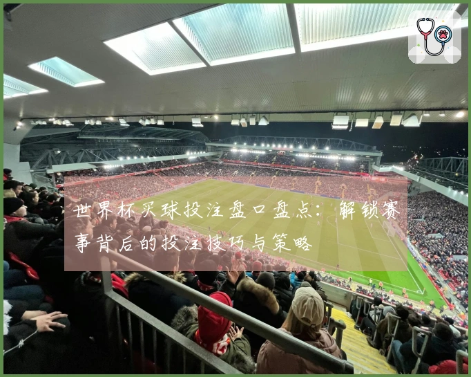 世界杯买球投注盘口盘点：解锁赛事背后的投注技巧与策略
