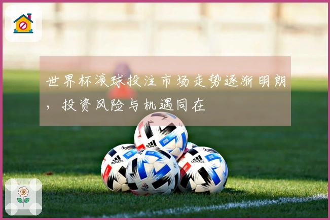 世界杯滚球投注市场走势逐渐明朗，投资风险与机遇同在