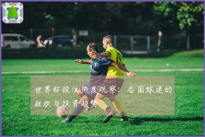 世界杯投注热度观察：各国球迷的狂欢与投资趋势