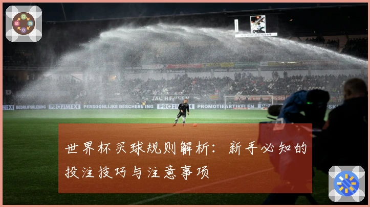 世界杯买球规则解析：新手必知的投注技巧与注意事项